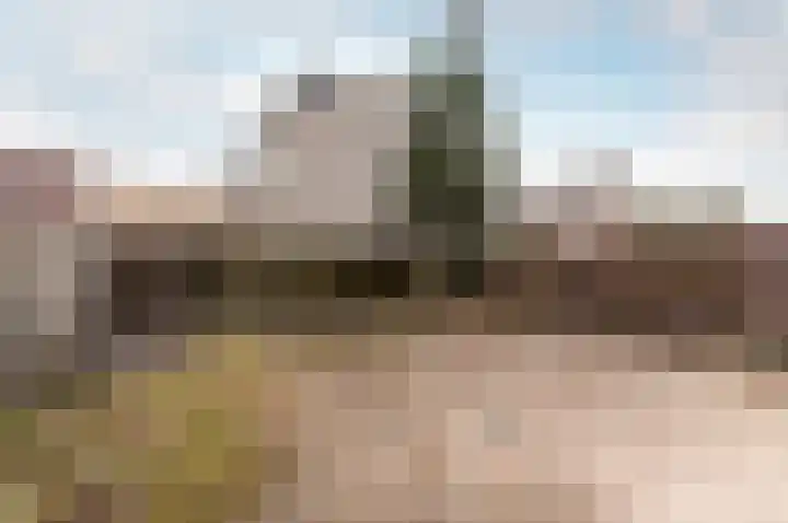 Zaagvisplantsoen 47 Almere thumbnail 25