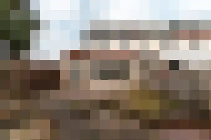 Zaagvisplantsoen 47 Almere thumbnail 5