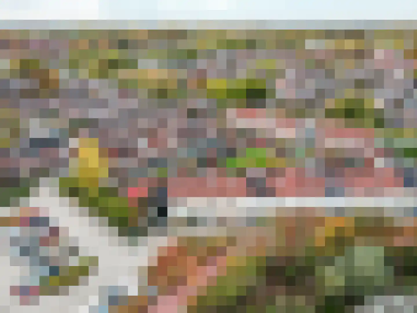 Zaagvisplantsoen 52 Almere thumbnail 36