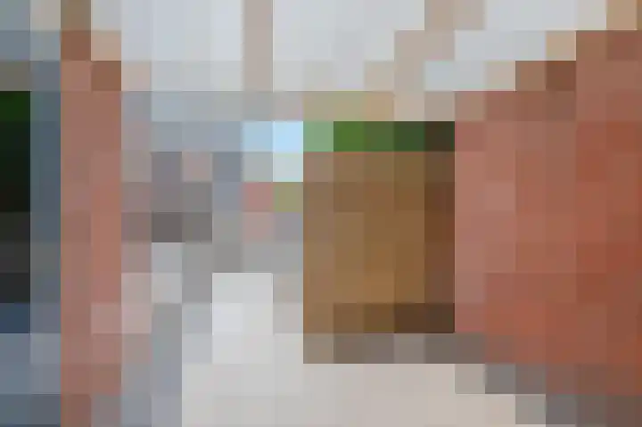 Zaaibak 40 Delfzijl thumbnail 10
