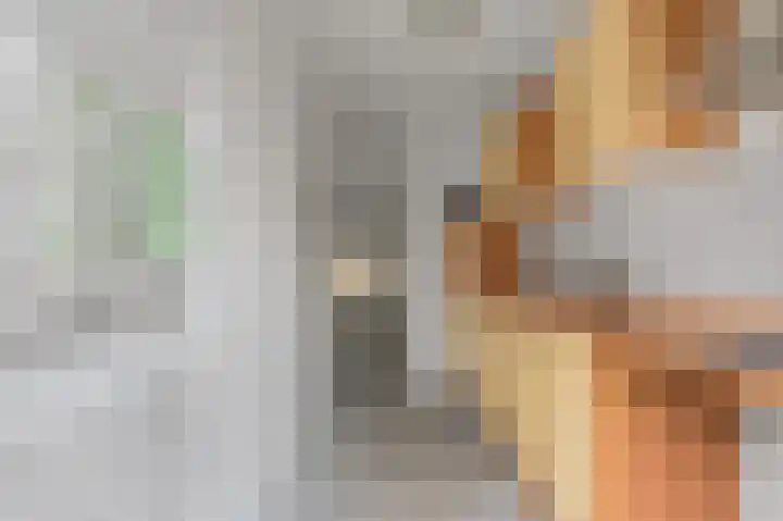 Zaaibak 40 Delfzijl thumbnail 19