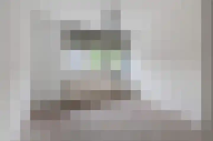 Zaaibak 40 Delfzijl thumbnail 20