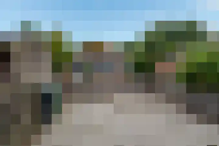 Zaaibak 40 Delfzijl thumbnail 30
