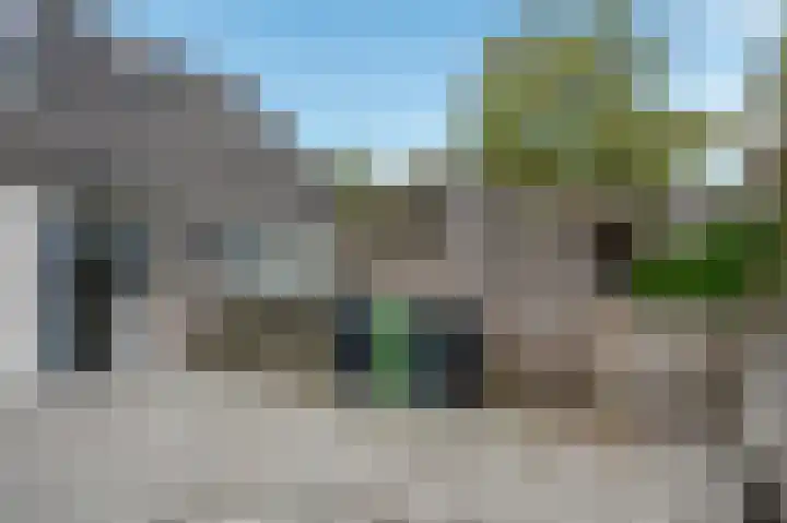 Zaaibak 40 Delfzijl thumbnail 31