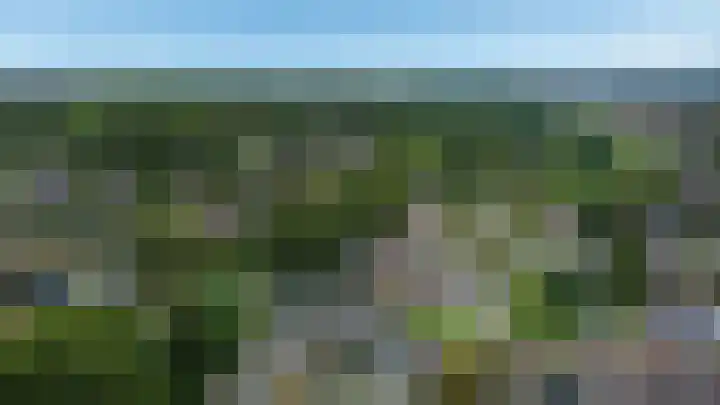 Zaaibak 40 Delfzijl thumbnail 34
