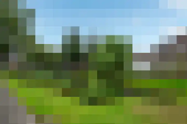 Zaaibak 40 Delfzijl thumbnail 35