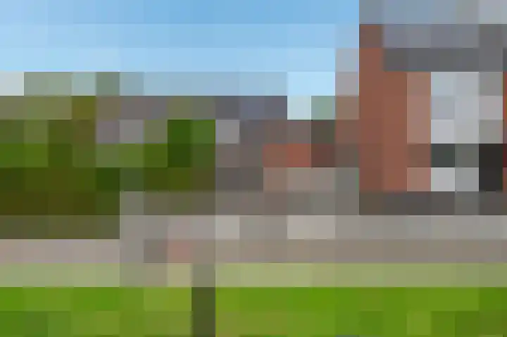Zaaibak 40 Delfzijl thumbnail 4