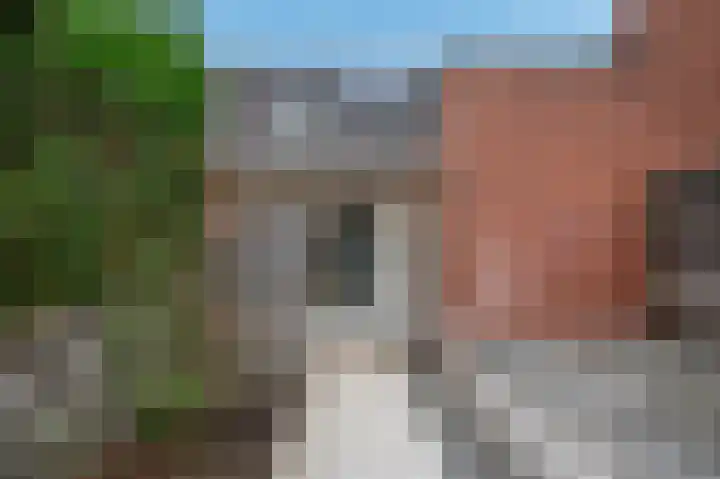 Zaaibak 40 Delfzijl thumbnail 6