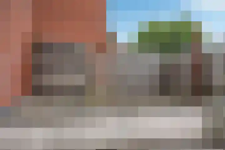 Zaaibak 40 Delfzijl thumbnail 7
