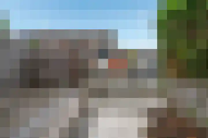 Zaaibak 40 Delfzijl thumbnail 8