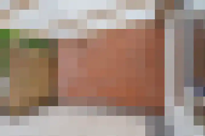 Zaaibak 40 Delfzijl thumbnail 9