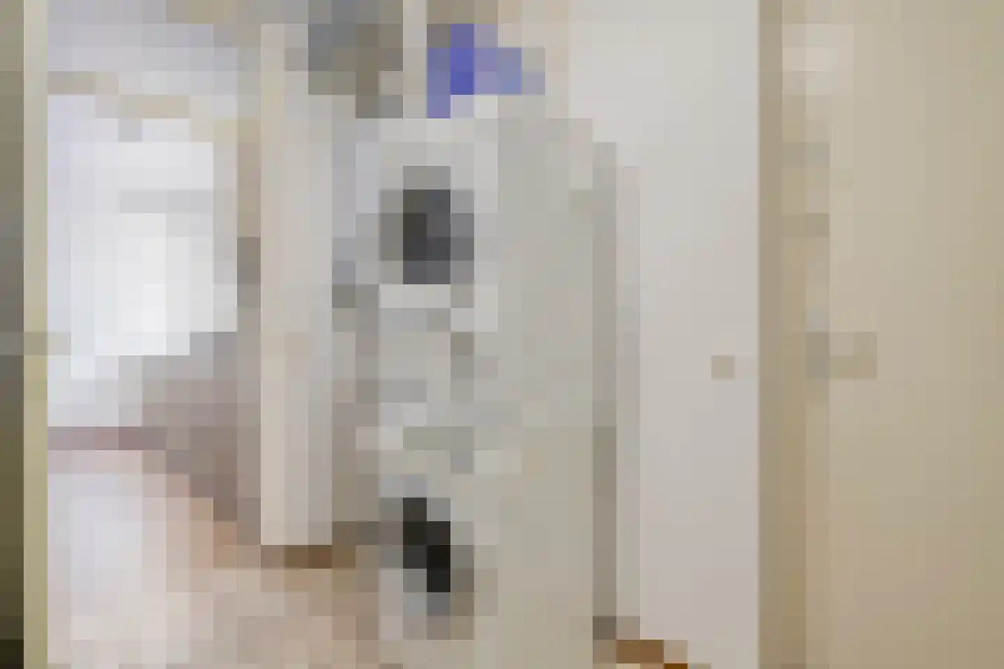 Zaaier 1 Leusden thumbnail 15