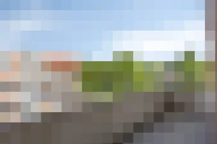Zaaier 116 Leusden thumbnail 12