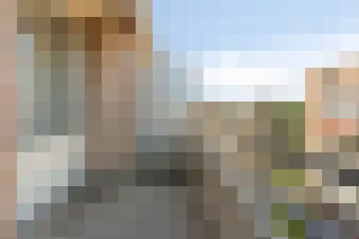 Zaaier 116 Leusden thumbnail 13