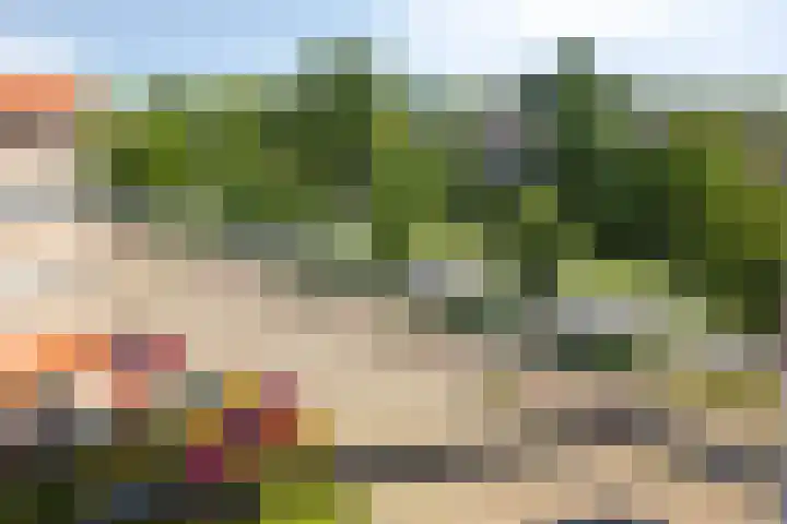Zaaier 116 Leusden thumbnail 15