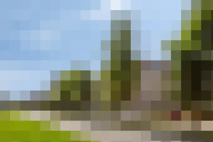Zaaier 116 Leusden thumbnail 19