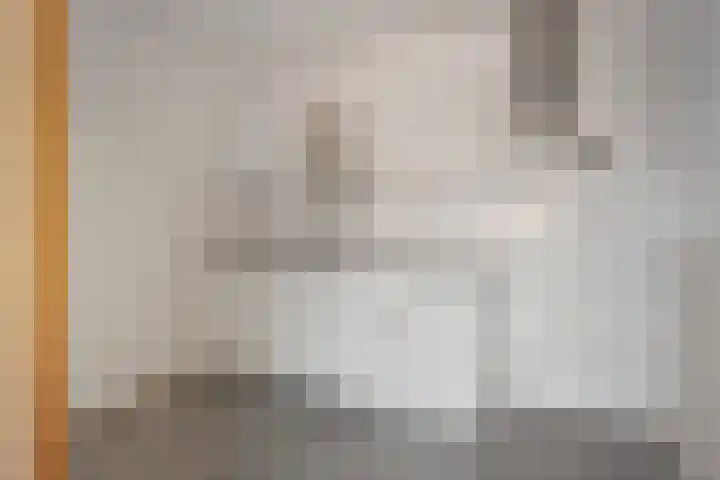 Zaaier 116 Leusden thumbnail 6