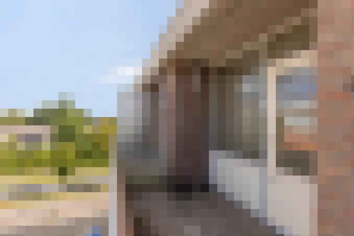 Zaaier 118 Leusden thumbnail 14