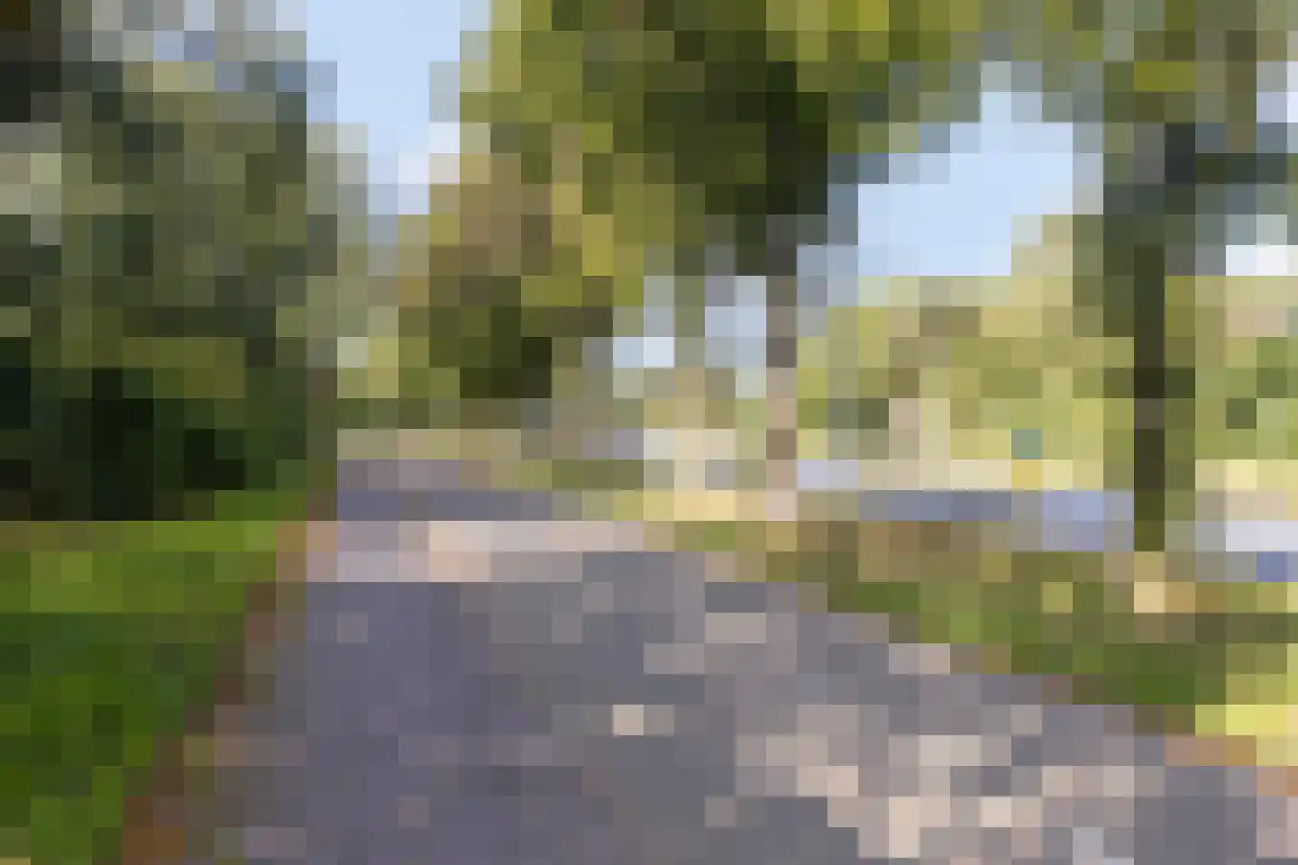 Zaaier 118 Leusden thumbnail 23