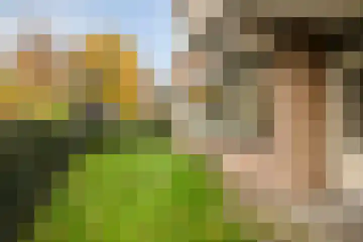 Zaaier 128 Leusden thumbnail 12