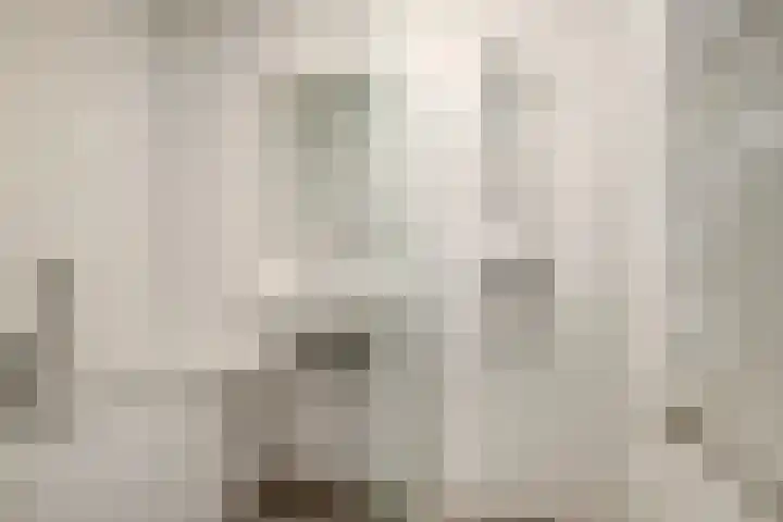 Zaaier 128 Leusden thumbnail 13