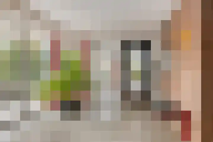 Zaaier 128 Leusden thumbnail 20