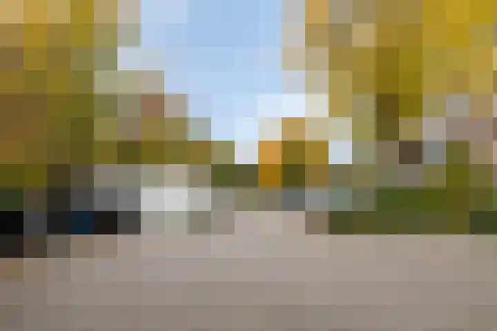 Zaaier 128 Leusden thumbnail 21