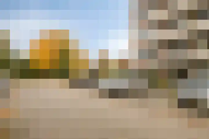 Zaaier 128 Leusden thumbnail 22