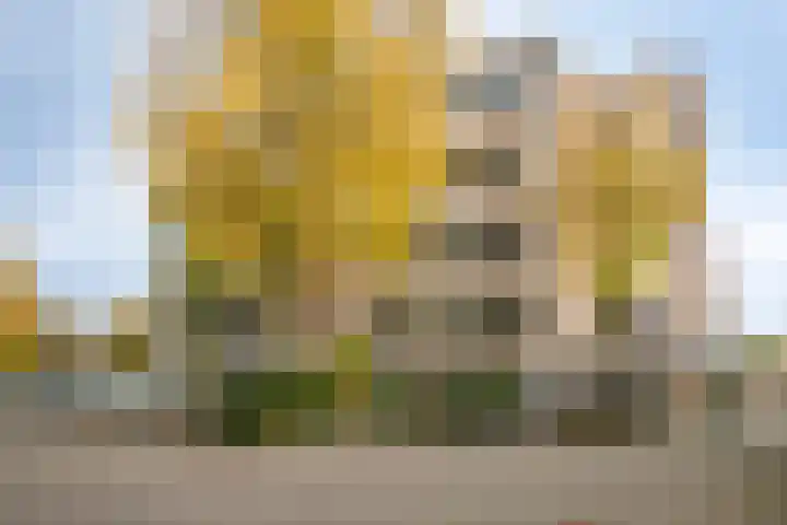 Zaaier 128 Leusden thumbnail 23