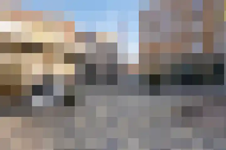 Zaaier 128 Leusden thumbnail 26