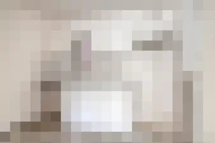 Zaaier 128 Leusden thumbnail 6