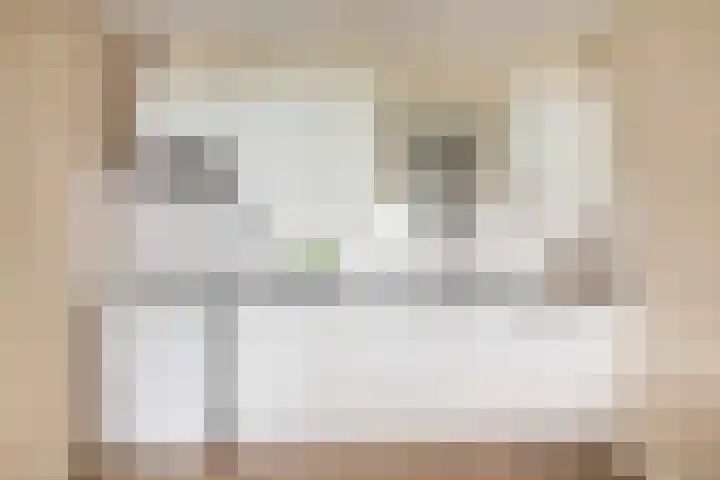 Zaaier 136 Leusden thumbnail 11