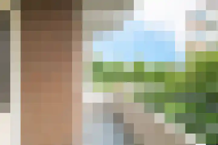 Zaaier 136 Leusden thumbnail 18