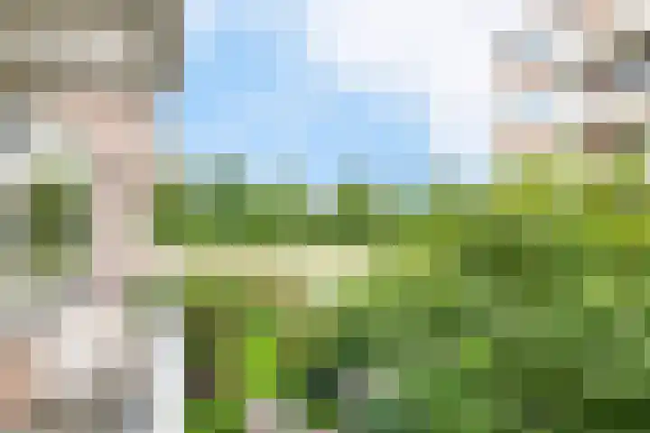 Zaaier 136 Leusden thumbnail 19