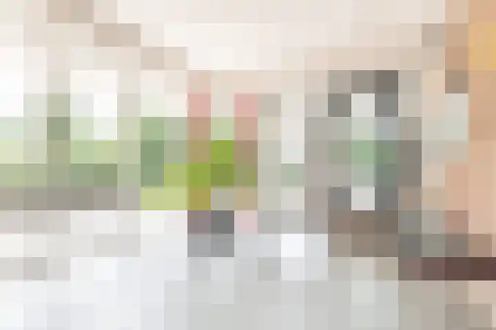 Zaaier 136 Leusden thumbnail 21