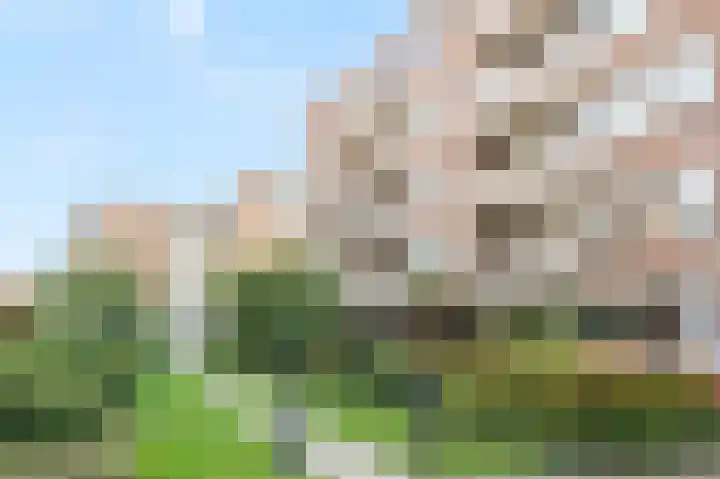 Zaaier 136 Leusden thumbnail 24