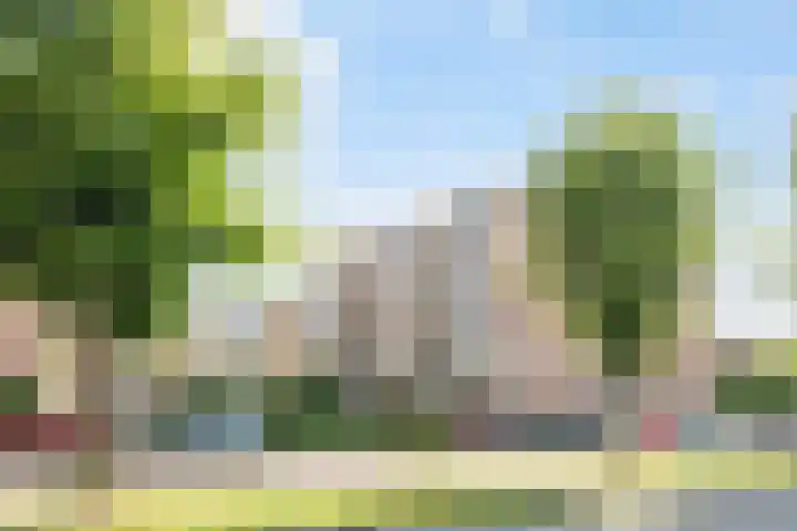 Zaaier 136 Leusden thumbnail 25