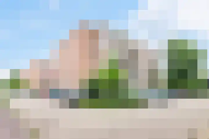 Zaaier 136 Leusden thumbnail 26