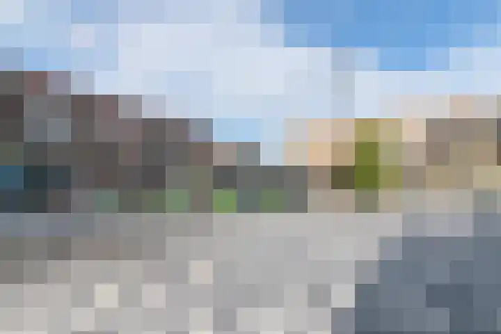 Zaaier 136 Leusden thumbnail 27