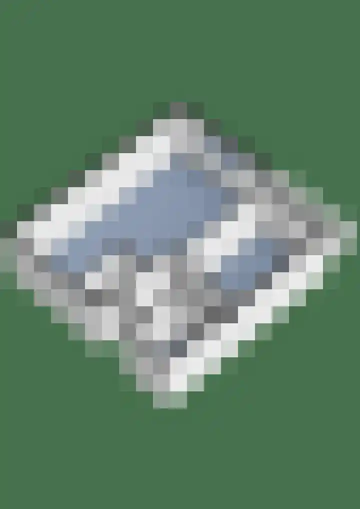 Zaaier 136 Leusden thumbnail 30