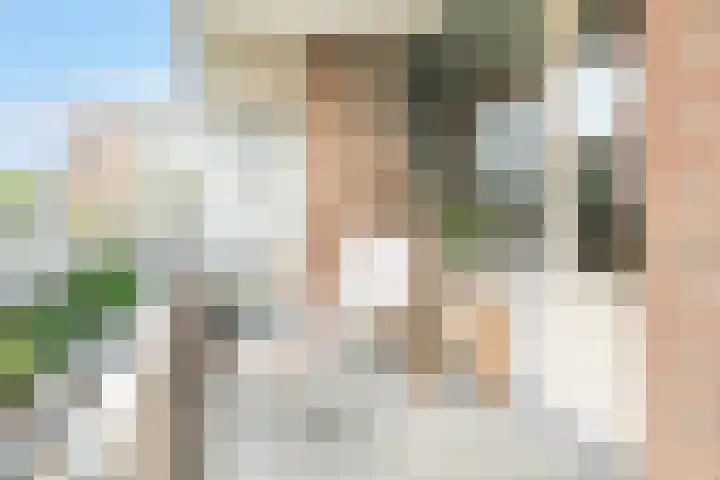 Zaaier 136 Leusden thumbnail 4