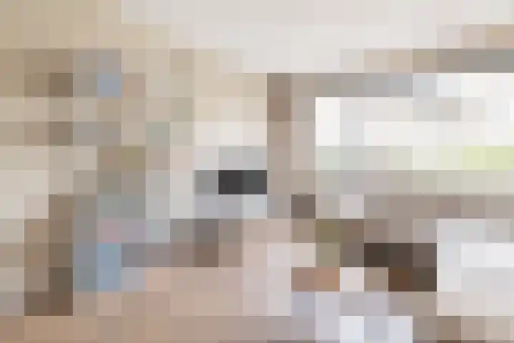 Zaaier 136 Leusden thumbnail 6