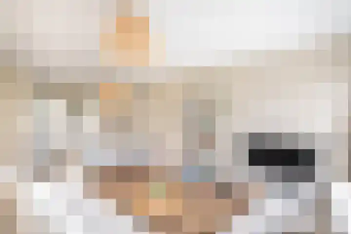 Zaaier 136 Leusden thumbnail 8