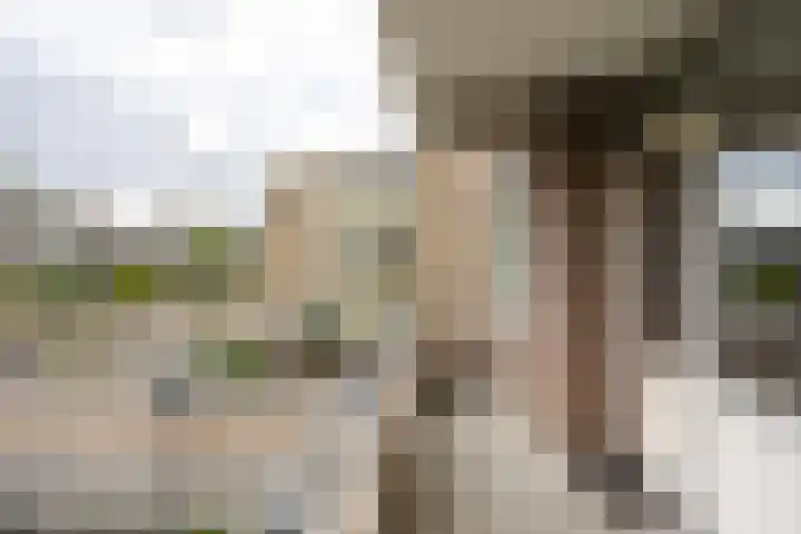 Zaaier 146 Leusden thumbnail 11