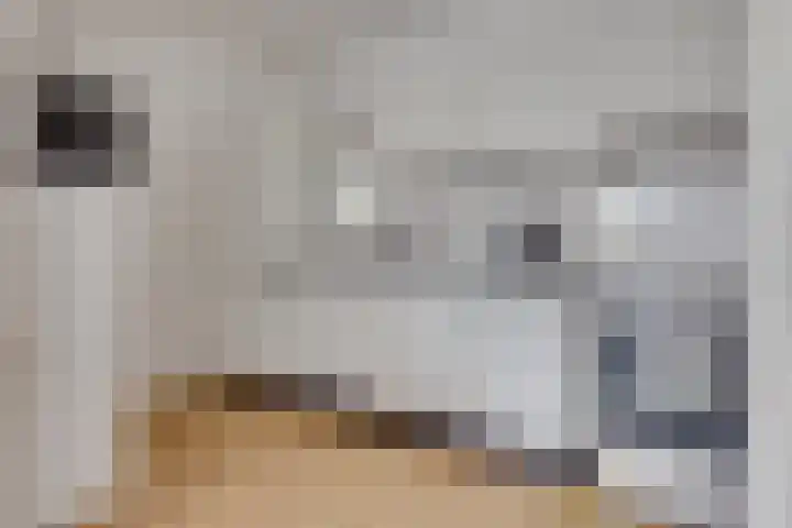 Zaaier 146 Leusden thumbnail 13