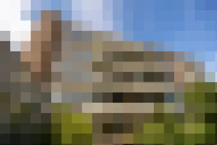 Zaaier 146 Leusden thumbnail 24