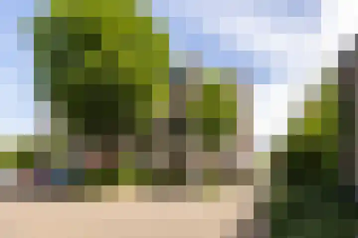 Zaaier 146 Leusden thumbnail 25
