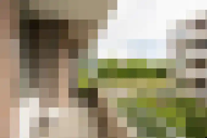 Zaaier 146 Leusden thumbnail 4