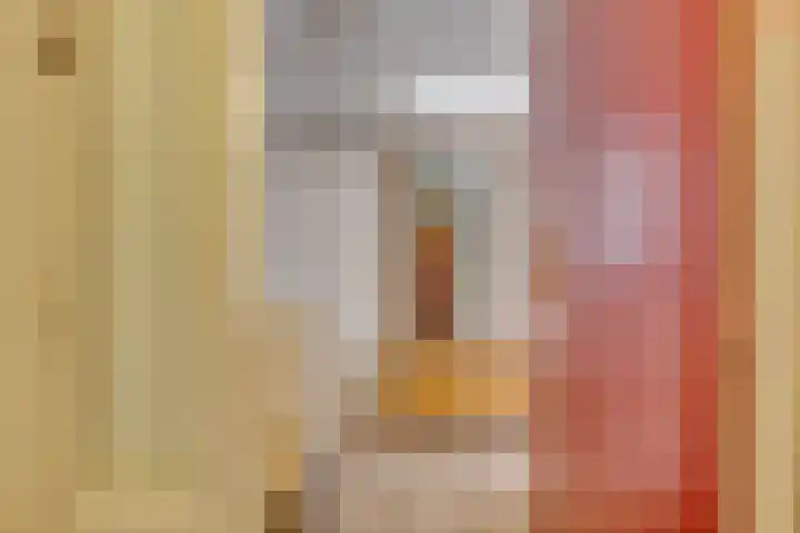 Zaaier 146 Leusden thumbnail 7