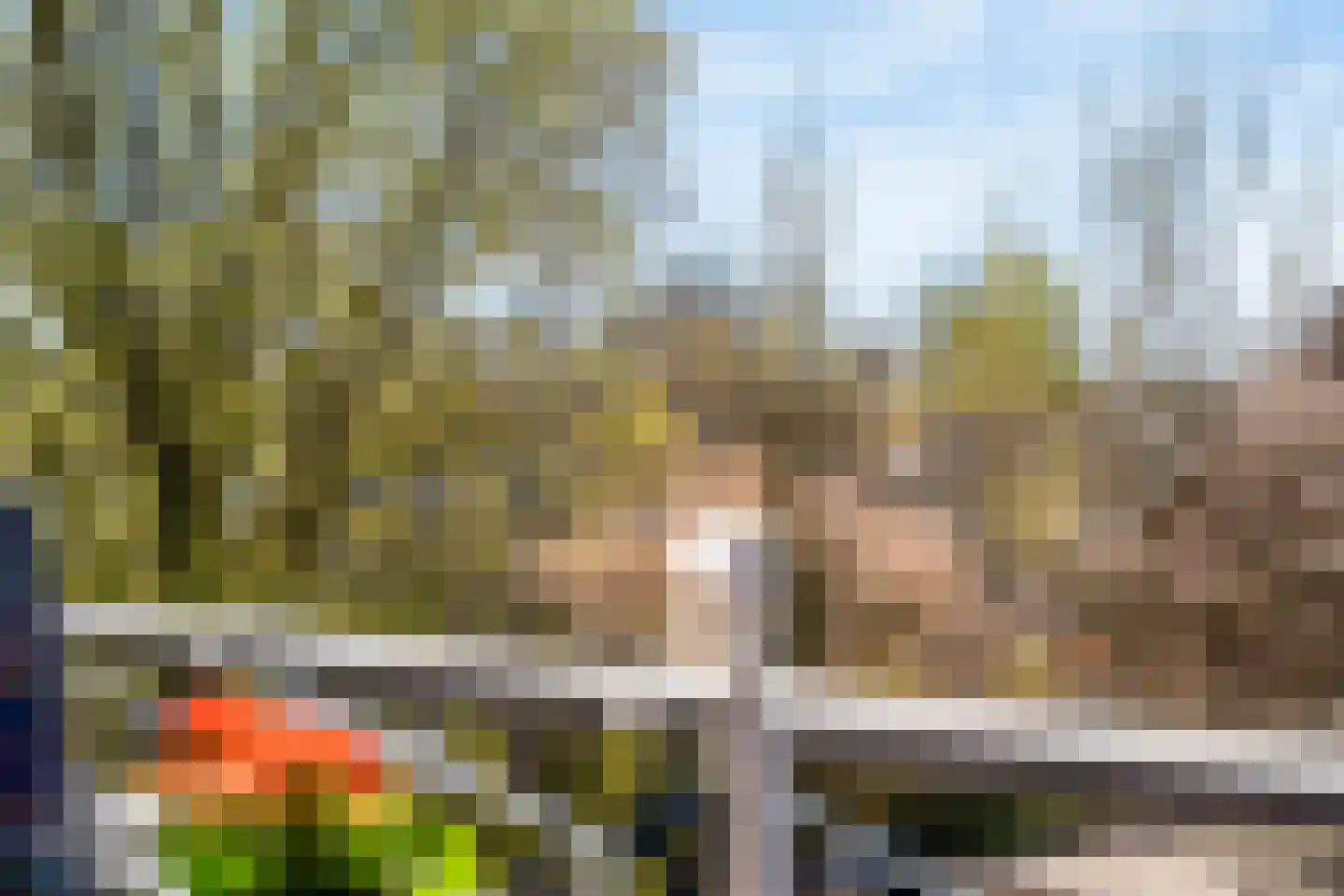 Zaaier 152 Leusden thumbnail 14